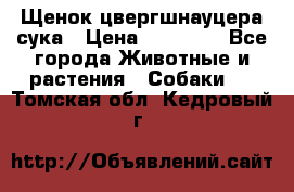 Щенок цвергшнауцера сука › Цена ­ 25 000 - Все города Животные и растения » Собаки   . Томская обл.,Кедровый г.